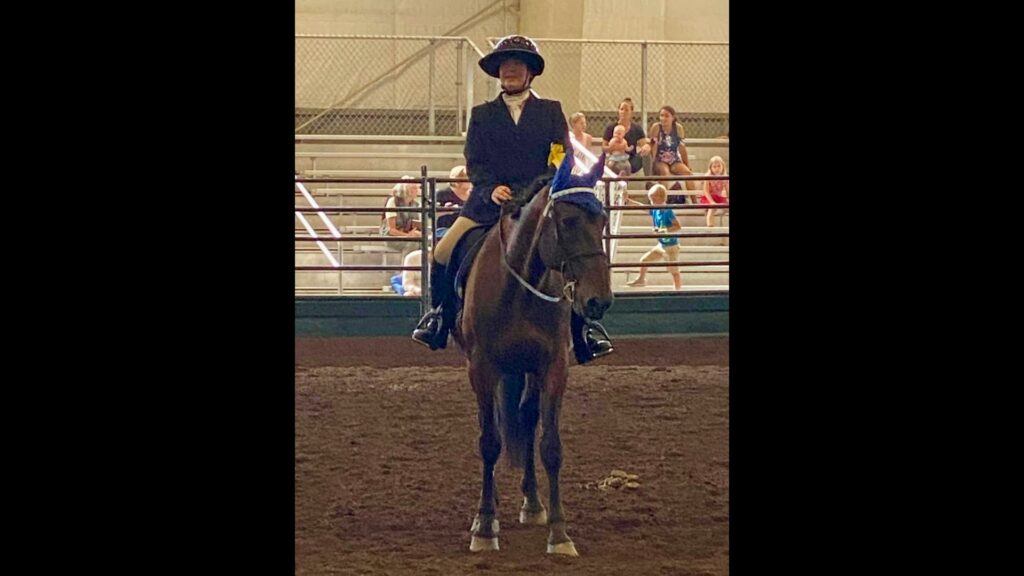 Leslie Weilbacher on a horse, Major, in the arena wearing a helmet with a large visor and a yellow armband on a black coat. The horse has his mane up in braids and is wearing a royal blue ear bonnet and saddle pad.