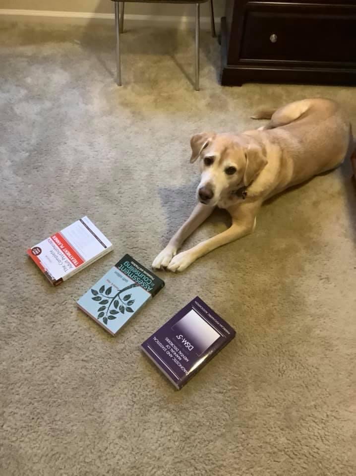 Dog resting near three college textbooks